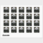 Reuzenpanda Vierkante Sticker (Vel)