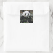 Reuzenpanda Vierkante Sticker (Tas)