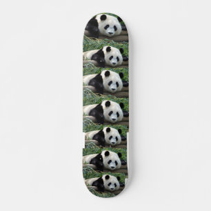 REUZENPANDABERS PERSOONLIJK SKATEBOARD