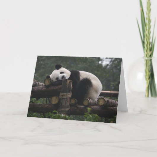 Reuzenpanda's bij de Giant Panda Protection & 3 Kaart (Voorkant)