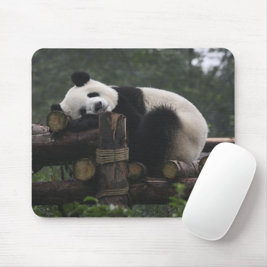 Reuzenpanda's bij de Giant Panda Protection Muismat (Met muis)