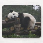 Reuzenpanda's bij de Giant Panda Protection Muismat (Voorkant)