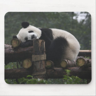 Reuzenpanda's bij de Giant Panda Protection Muismat