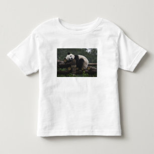 Reuzenpanda's bij de Reuzenpanda Bescherming Kinder Shirts