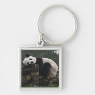 Reuzenpanda's bij de Reuzenpanda Bescherming Sleutelhanger