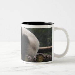 Reuzenpanda's bij de Reuzenpanda Bescherming Tweekleurige Koffiemok