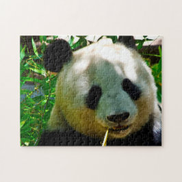 Reuzenpanda's. Legpuzzel