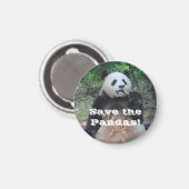 Reuzenpanda's redden Magnet (Voorkant / Achterkant)