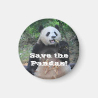Reuzenpanda's redden Magnet