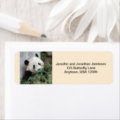 Reuzenpanda's retouradreslabels, Tan Etiket (Insitu)