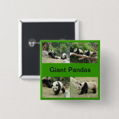 Reuzenpanda's Vierkante Button 5,1 Cm (Voorkant /achterkant)