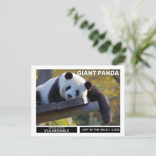 Reuzenpanda's zijn kwetsbare soorten feestdagenkaart (Staand voorkant)