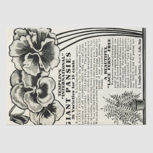  reuzenpanelen, zaadcatalogi en zadenvaartuigen tissuepapier (Voorkant)