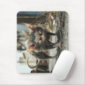 Reuzenrat muismat (Met muis)