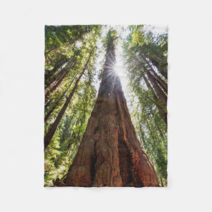 Reuzenredwoods Fleece Deken
