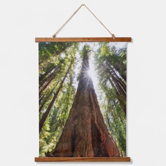 Reuzenredwoods Hangend Wandkleed (Voorkant)