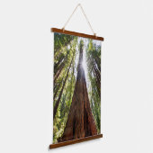 Reuzenredwoods Hangend Wandkleed (Gebogen)