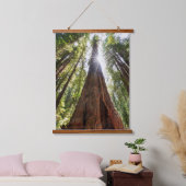 Reuzenredwoods Hangend Wandkleed (Slaapkamer)