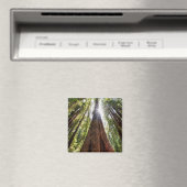 Reuzenredwoods Magneet (Insitu (Vaatwasser))