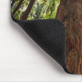 Reuzenredwoods Muismat (Hoek)