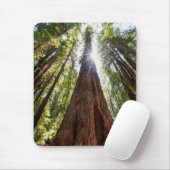 Reuzenredwoods Muismat (Met muis)