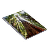 Reuzenredwoods Notitieboek (Rechterzijde)