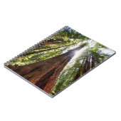 Reuzenredwoods Notitieboek (Linkerzijde)
