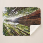 Reuzenredwoods Sherpa Deken (Voorkant (horizontaal))