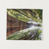 Reuzenredwoods Wandkleed (Voorkant (horizontaal))