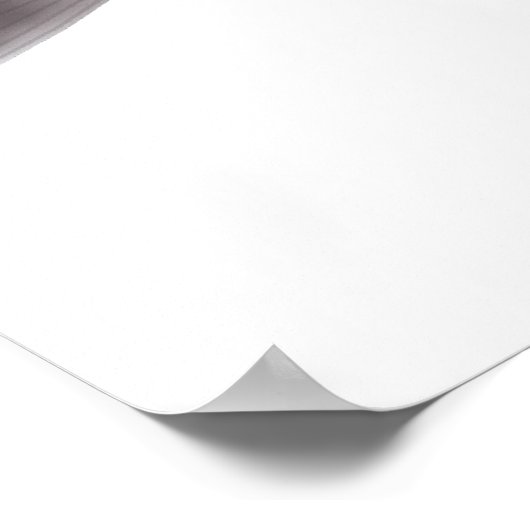 Reuzenriviermeerval Poster (Hoek)