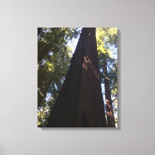 Reuzenrode bossen canvas afdruk (Voorkant)