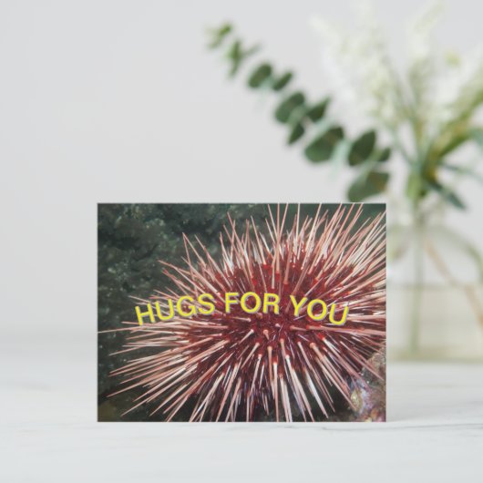 Reuzenrood Zee Urchin - Briefkaart (Staand voorkant)