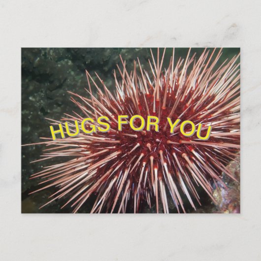 Reuzenrood Zee Urchin - Briefkaart (Voorkant)