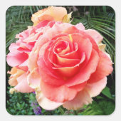 Reuzenroze roos close-up foto mooi modern vierkante sticker (Voorkant)