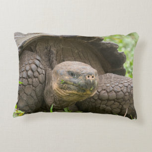 Reuzenschildpad Accent Kussen