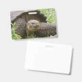 Reuzenschildpad Badge (Voor- en achterkant)