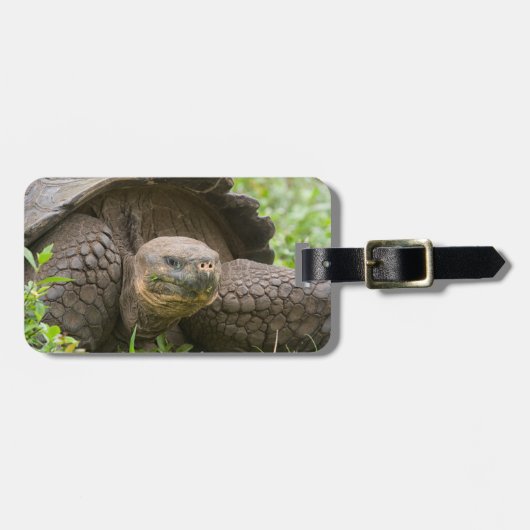 Reuzenschildpad Bagagelabel (Voorkant horizontaal)