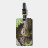 Reuzenschildpad Bagagelabel (Voorkant verticaal)