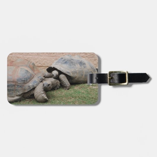reuzenschildpad bagagelabel (Voorkant horizontaal)