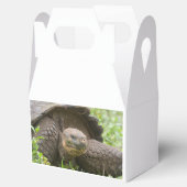 Reuzenschildpad Bedankdoosjes (Geopend)