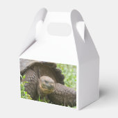 Reuzenschildpad Bedankdoosjes (Voorkant Zijde)