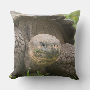 Reuzenschildpad Buitenkussen