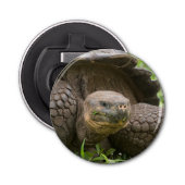 Reuzenschildpad Button Flesopener (Voorkant)