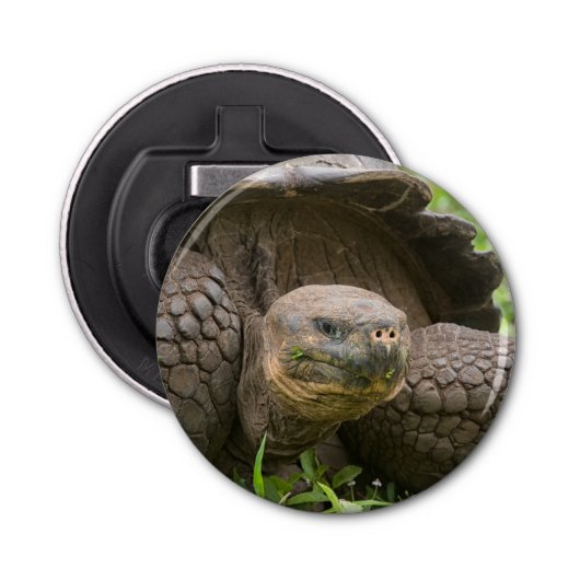 Reuzenschildpad Button Flesopener (Voorkant)