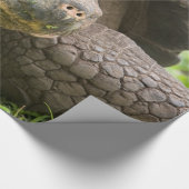 Reuzenschildpad Cadeaupapier (Hoek)