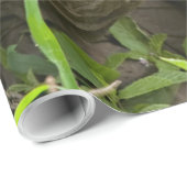 Reuzenschildpad Cadeaupapier (Rol Hoek)