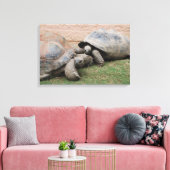 reuzenschildpad canvas afdruk (Insitu (Woonkamer))