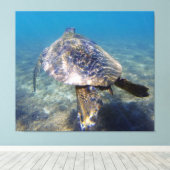 Reuzenschildpad Canvas Afdruk (Insitu (Houten vloer))