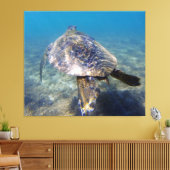 Reuzenschildpad Canvas Afdruk (Insitu (Woonkamer))