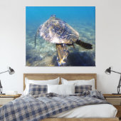 Reuzenschildpad Canvas Afdruk (Insitu (Slaapkamer))